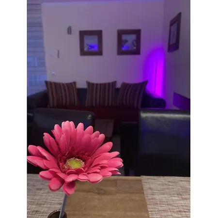 Apartment Just Before The Cape, A
