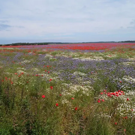 Just Before The Cape, A * Putgarten